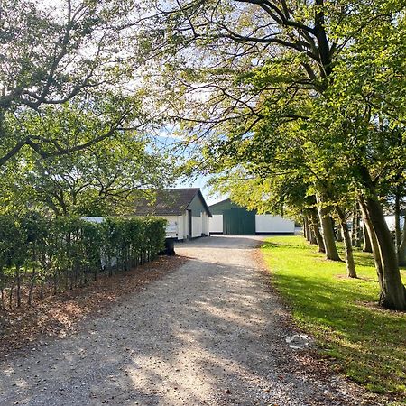 Country Guesthouse Gadstrup Buitenkant foto