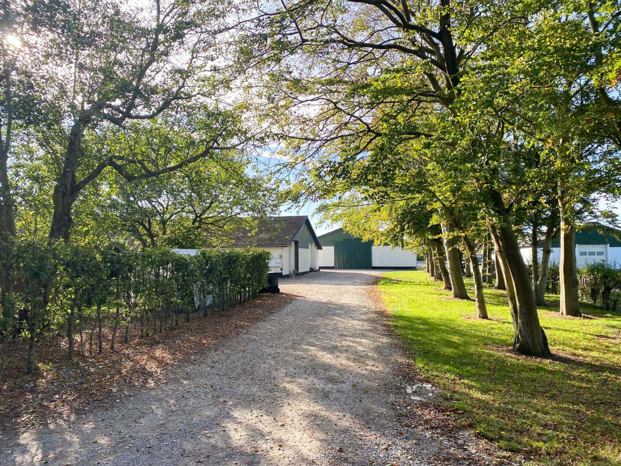 Country Guesthouse Gadstrup Buitenkant foto